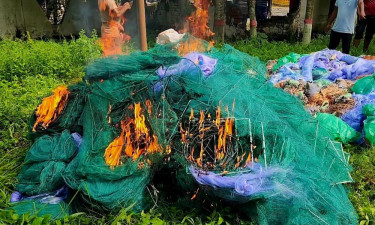 ঝিনাইদহে ৬৫ লাখ টাকার চায়নাদুয়ারি ও কারেন্ট জাল জব্দ