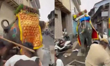 ভারতে রথযাত্রায় হাতির তাণ্ডব, পরিস্থিতি দ্রুত নিয়ন্ত্রণে