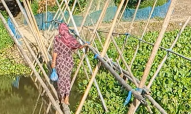 শতাধিক পরিবারের একমাত্র ভরসা বাঁশের সাঁকো