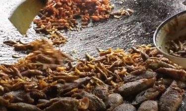 ‘ভাত খাবেন কম, মাছ খাবেন বেশি’