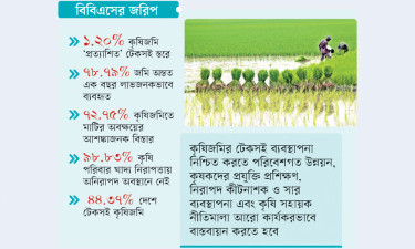কীটনাশকের সঠিক ব্যবহার নেই দেশের ৫১% জমিতে