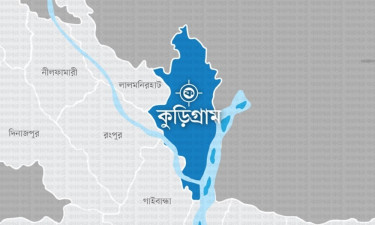উলিপুরে গাছচাপায় প্রাণ গেল যুবকের