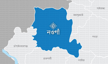নওগাঁয় হঠাৎ শিয়ালের হানা, আহত ১০