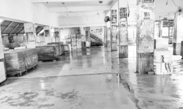 হুমকিতে ইলিশকেন্দ্রিক অর্থনীতি