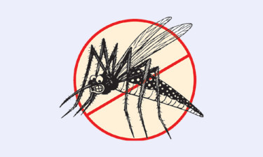 ডেঙ্গু রোগী বেড়ে তিন গুণ