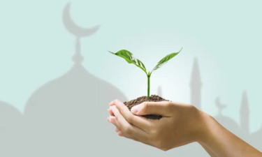 ইন্দোনেশিয়ায় গ্রিন সুকুকের জনপ্রিয়তা