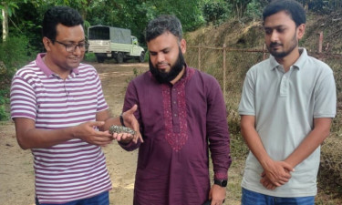 হাজারীখিল বন্যপ্রাণী অভয়ারণ্যে ৩৩ অজগর অবমুক্ত