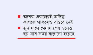 বিদেশ সফরই মুখ্য লক্ষ্য পূরণ হয়নি