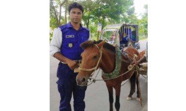 জুলাই বিপ্লব নিয়ে কটূক্তি, কুষ্টিয়ায় ট্রাফিক পুলিশ সদস্য বরখাস্ত