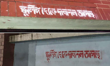 ঢাবির দেয়ালে লেখা ‘স্ফুলিঙ্গ থেকে দাবানল আসছে’, বাড়ছে কৌতূহল