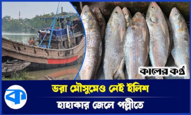 নিষেধাজ্ঞা শেষ তবুও নেই মাছের দেখা, খালি হাতে ফিরছেন জেলেরা