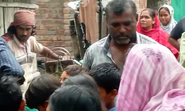 ঘরের বারান্দা খুঁড়তেই একে একে বেরিয়ে আসে বিষধর সাপের ১০ বাচ্চা