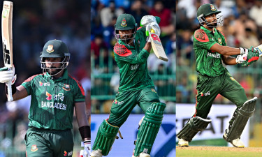 সেই তাঁরাই যেটুকু করলেন