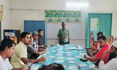 বিএনপির মনোনয়ন চান নৌ উপদেষ্টার ভাই