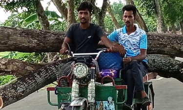 শ্রমিক দল নেতার বিরুদ্ধে সরকারি গাছ কেটে নেওয়ার অভিযোগ