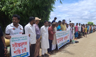 নির্মাণের দুই মাসেই সড়ক বেহাল, এলাকাবাসীর প্রতিবাদ