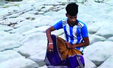 ভোলায় পালিত সাপের কামড়ে যুবকের মৃত্যু