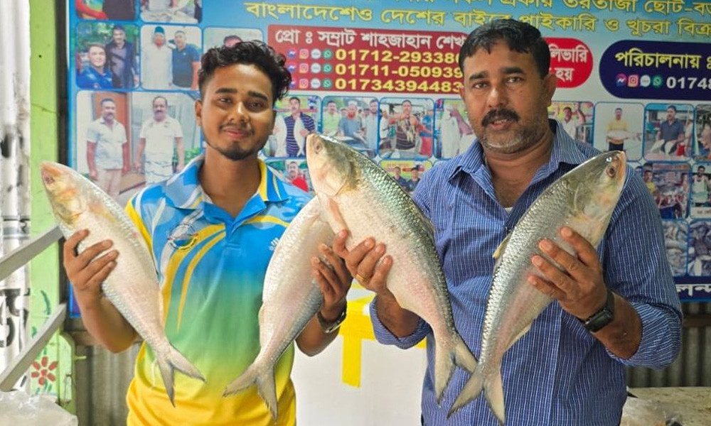 পদ্মার চার ইলিশ ৪২ হাজারে বিক্রি!