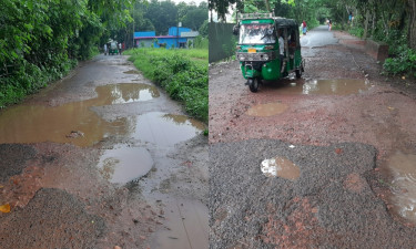 ‘সড়কে নামলে মনে হয় পুকুরে নেমেছি’