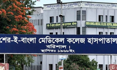 বরিশালের ডেঙ্গুতে আরো দুজনের মৃত্যু