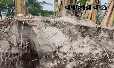 পদ্মার ভাঙনে নিঃস্ব দুই শতাধিক পরিবার, উচ্ছেদের নোটিশে অনিশ্চিত জীবন