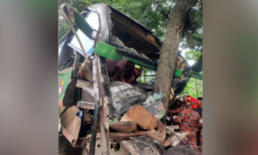 গজারিয়ায় গাছের সঙ্গে ধাক্কায় বাসের হেলপার নিহত, আহত ১২