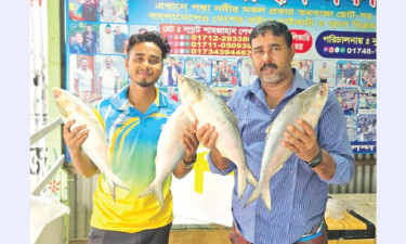 চার ইলিশ ৪২ হাজারে বিক্রি