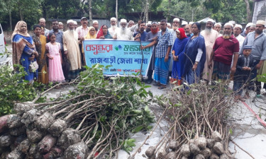 বসুন্ধরা শুভসংঘের উদ্যোগে রাজবাড়ীতে গ্রামবাসীর মাঝে গাছের চারা বিতরণ