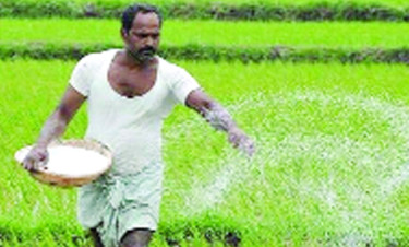 ১৪৬ কোটি টাকায় ৩০ হাজার টন সার কিনবে সরকার