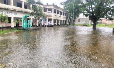 মাদরাসার মাঠ যেন জলাশয়, দুর্ভোগে শিক্ষক-শিক্ষার্থীরা
