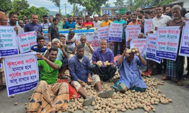 কুড়িগ্রামে সড়কে আলু ফেলে চাষিদের অবরোধ