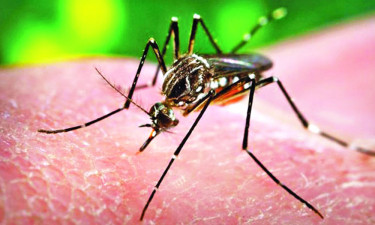 চট্টগ্রামে প্রথমবারের মতো ২ জনের জিকা ভাইরাস শনাক্ত