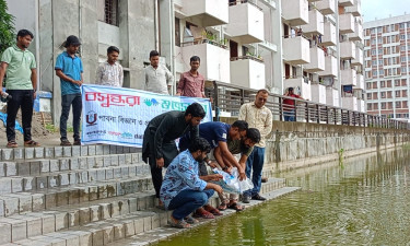 বসুন্ধরা শুভসংঘের উদ্যোগে পাবিপ্রবি লেকে মাছের পোনা অবমুক্তকরণ