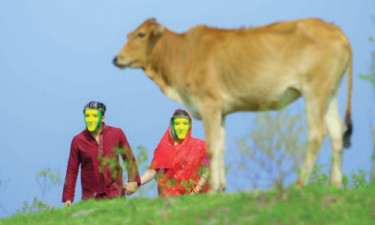 টিভি হাইলাইটস
