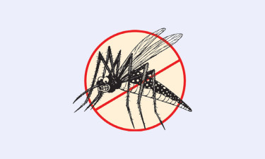 ডেঙ্গুতে আরো তিন মৃত্যু হাসপাতালে ৪২৫