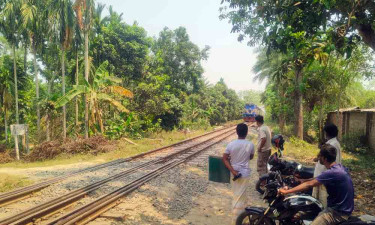 গাছতলা তাদের অফিস, রোদ-বৃষ্টি মাথায় নিয়ে ডিউটি করেন রোজ