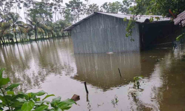 নোয়াখালীতে বর্ষণ অব্যাহত, বন্যার আশঙ্কা