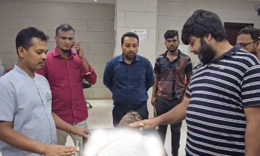 দখলদারদের নোটিশ দিতে গিয়ে হামলার শিকার ভূমি কর্মকর্তারা