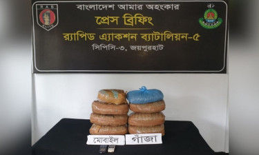 বদলগাছীতে ১৪ কেজি গাঁজাসহ মাদক ব্যবসায়ী আটক