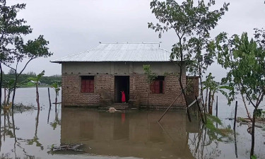 টানা বৃষ্টিতে ২৮ গ্রাম প্লাবিত, ত্রাণ নয় স্থায়ী সমাধান চায় রামগতি-কমলনগরবাসী