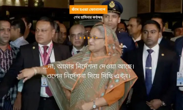 হাসিনার অডিও নিয়ে বিবিসির প্রতিবেদনের উদ্ধৃতি দিয়ে আইসিসিতে বিচার দাবি অ্যামনেস্টির