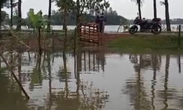 টানা বৃষ্টিতে জলাবদ্ধতার কবলে কমলনগর