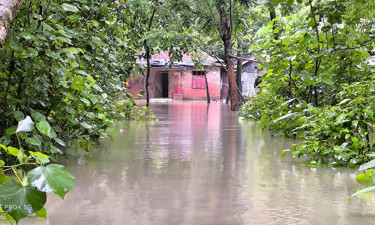নোয়াখালীতে টানা বৃষ্টিতে ৭০ গ্রাম প্লাবিত