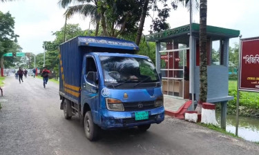 ভারতে গেল প্রধান উপদেষ্টার উপহারের আম