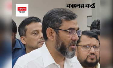 নির্বাচনে পোস্টাল ব্যালটে ভোট দেবেন প্রবাসীরা : ইসি