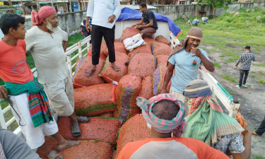 ৭ মাস পর ভারত থেকে কাঁচা মরিচ আমদানি শুরু