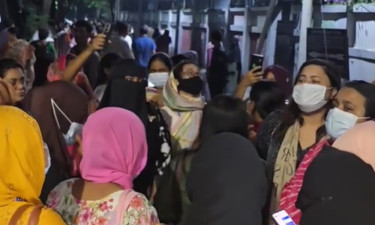 ‘আমরা জাকির স্যারকে চাই, এ জন্য যা করতে হয় তা-ই করব’