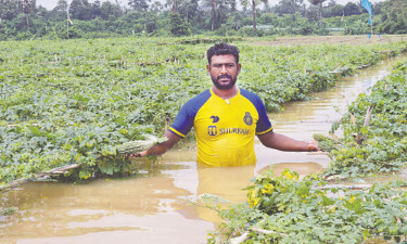 তিস্তা ও কুশিয়ারায় পানি বাড়ছে প্লাবিত হতে পারে নতুন এলাকা