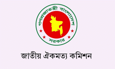 ঐকমত্য কমিশনের প্রতিবেদনের ওপর নির্ভর করছে লন্ডন ঘোষণার বাস্তবায়ন