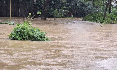 ভারি বৃষ্টিতে ২১ জেলায় ডুবেছে ৭২ হাজার হেক্টর ফসলি জমি